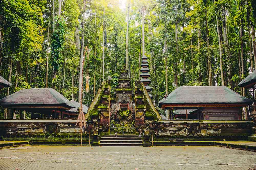 Sacred Monkey Forest, a tropical forest with a towering ancient trees with a long twisted roots, hut, statues and stone carvings
