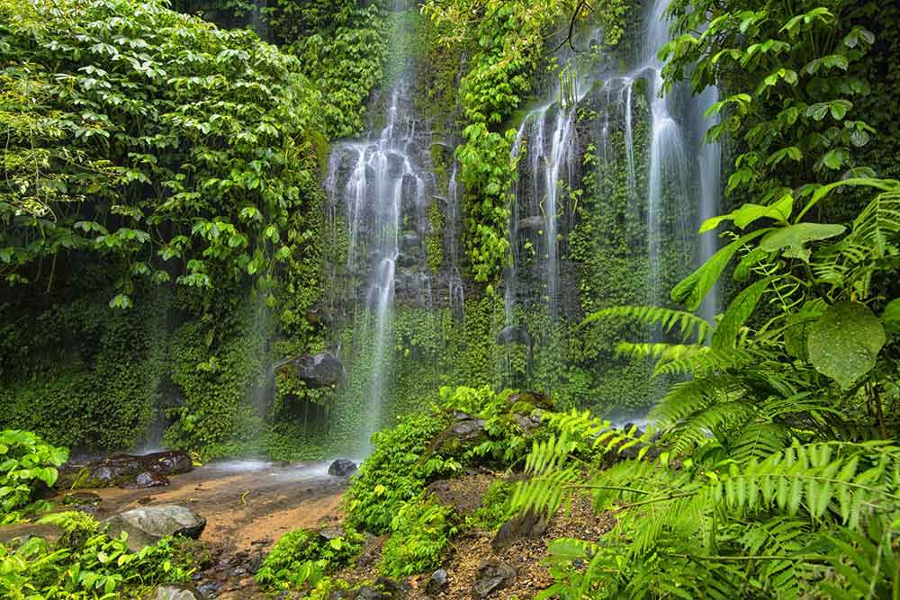 Benang Kelambu, Lombok featuring a waterfalls flowing down from green cliffs 