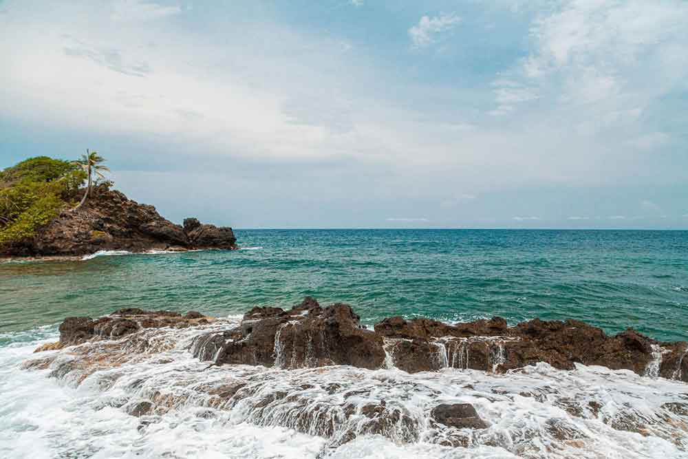 Whale Watching in Colombia’s Pacific -  Complete Guide to Watching Whales in Colombia 6