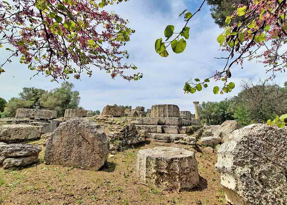 The ruins of Olympia in Greece in cream-white are surrounded by blue sky and blossoming trees