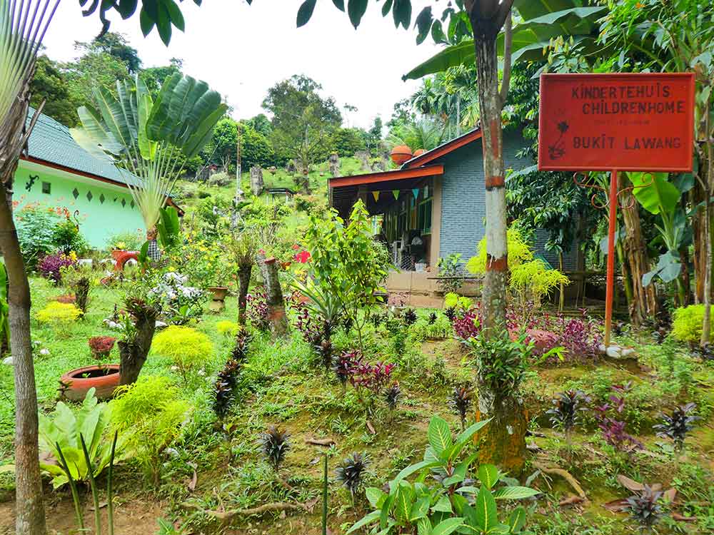 Bukit Lawang Jungle Trekking, Sumatra Orangutan Tour: How to See Bukit Lawang Orangutans 23 The colourful little orphanage in Bukit Lawang surrounded by garden with plants, trees and flowers