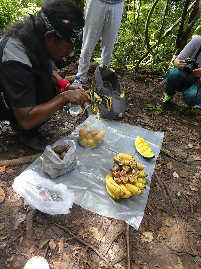 Bukit Lawang Jungle Trekking, Sumatra Orangutan Tour: How to See Bukit Lawang Orangutans 8 A mid-morning break, enjoying the locally grown fresh fruits while on a Bukit Lawang Orangutan Trekking adventure.