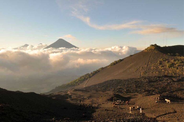 Pacaya Volcano Hike: How to Do the Pacaya Volcano Tour From Antigua, Guatemala