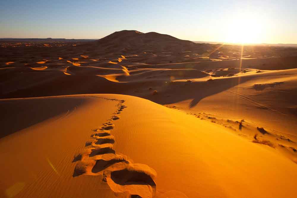 Sahara Desert, Morocco The Sahara Desert in Morocco presents a mesmerizing view of its endless sand dunes, bathed in the golden light cast by the sun | morocco kingdom