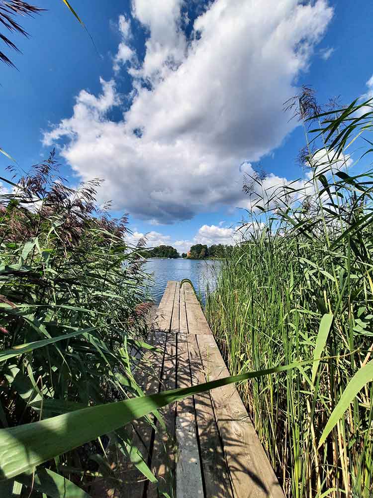 small wooden pier surrounded by green reeds going out into the lake at Trakai.