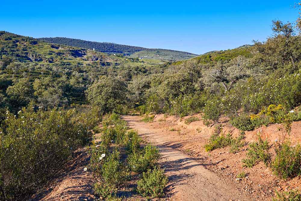 a hiking route through Sierra Norte Natural Park surrounded by hills and trees.