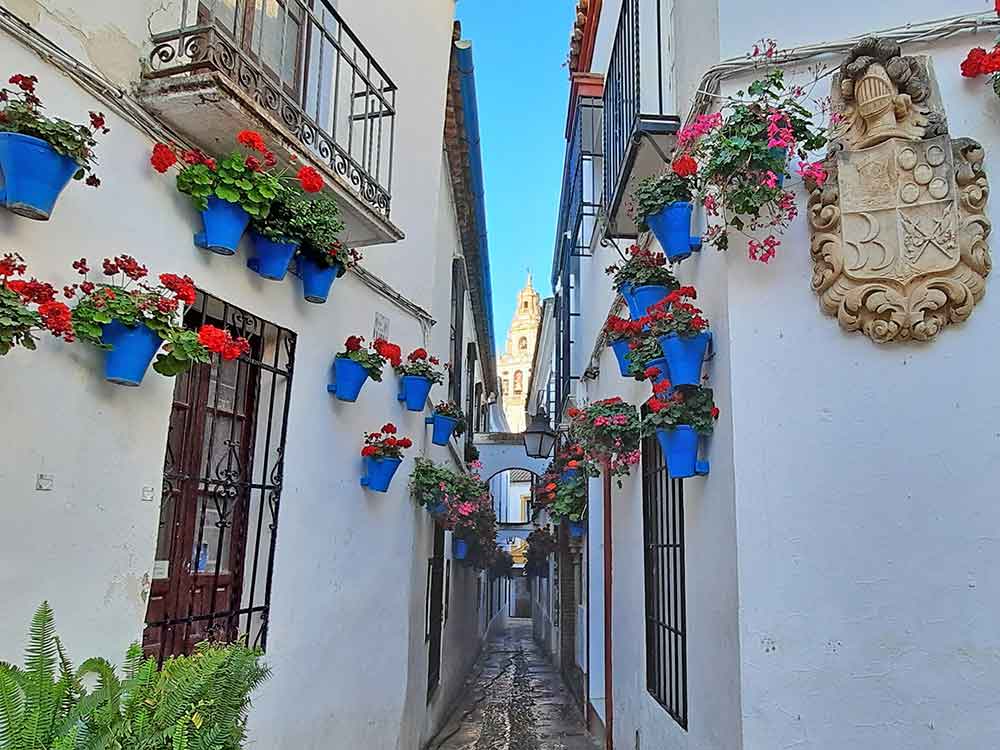 The Best Cordoba in One Day Itinerary 11 Calleja de las Flores alley in Cordoba. A narrow street with white buildings and hanging blue pots with flowers on each side. The Bell Tower from the Mezquita can be seen in the background.