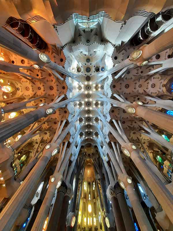 Looking up at the main roof inside Sagrada Familia with tree-like looking columns and organic shaped supports and windows. There is sunlight shining in through the windows. 