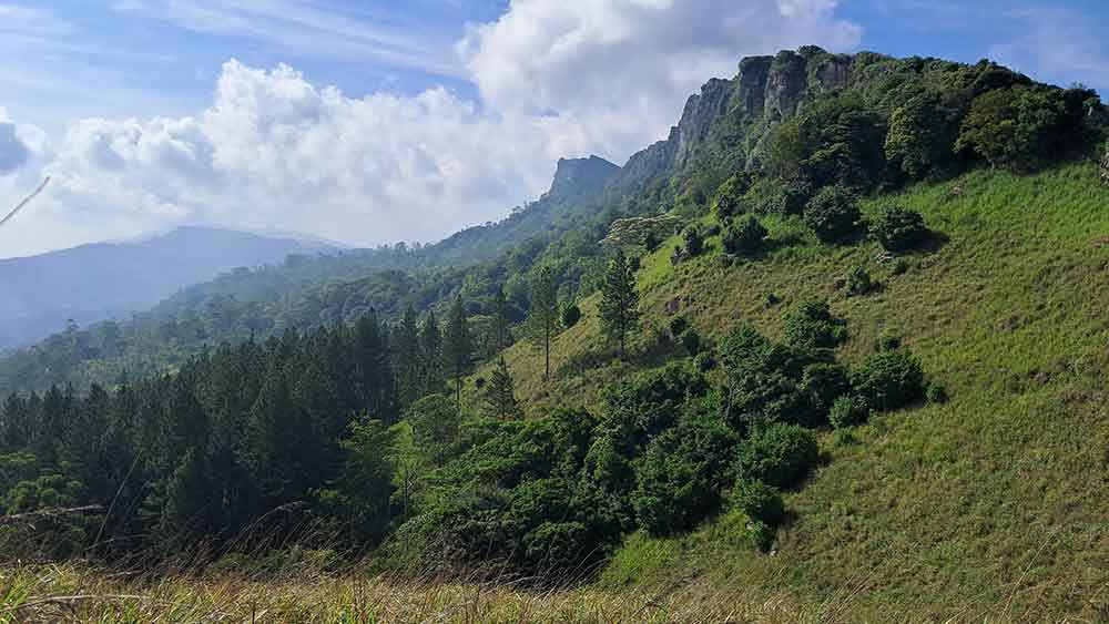 View from the top looking out over the Hanthana Mountain Range with a ride of mountains to the right hand side, and forests below.