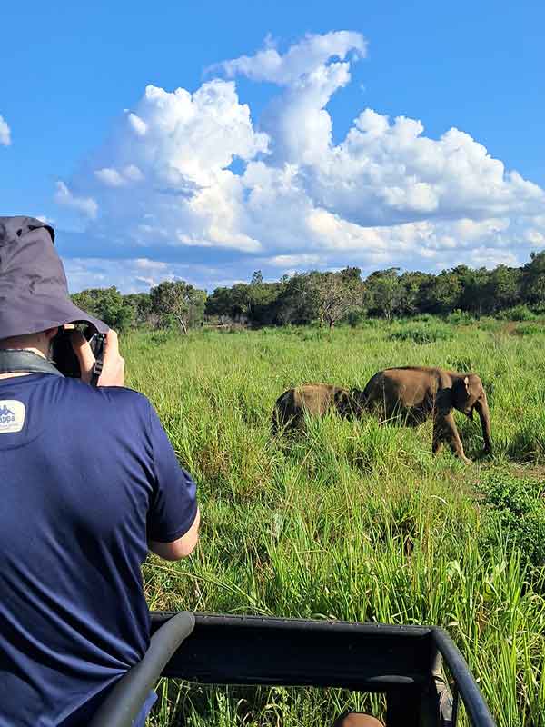 Sri Lanka Bucket List: 24 Best Things to Do in Sri Lanka 2