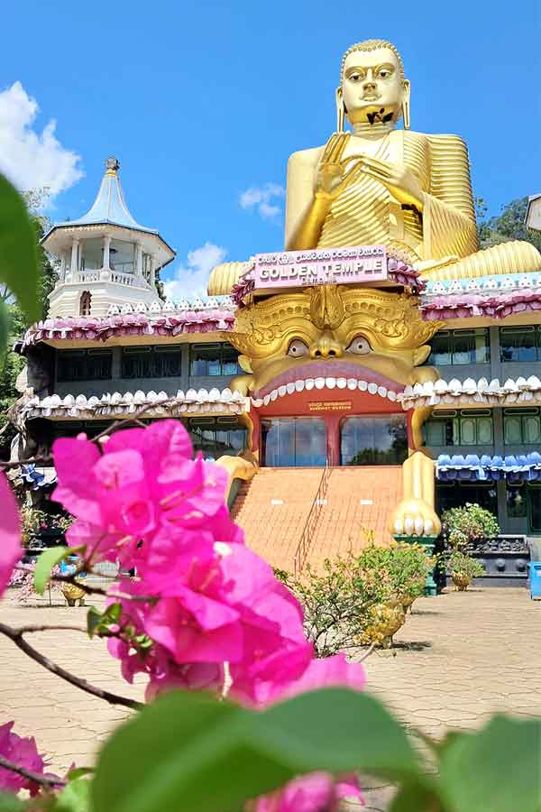 The entranceway to the Golden Temple with a large seaten golden Buddha sat on top of a building. The door has a face above it  -the doors are its mouth. There are steps leading up to it. There is a pink flower with green leaves in the foreground.