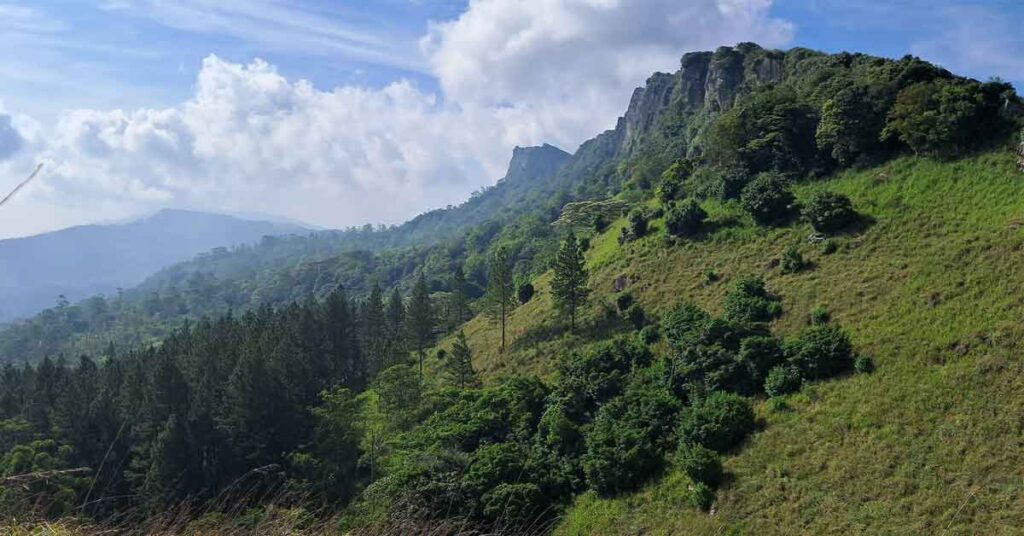 View from the top looking out over the Hanthana Mountain Range with a ride of mountains to the right hand side, and forests below.