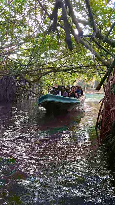 Sri Lanka Bucket List: 24 Best Things to Do in Sri Lanka 11