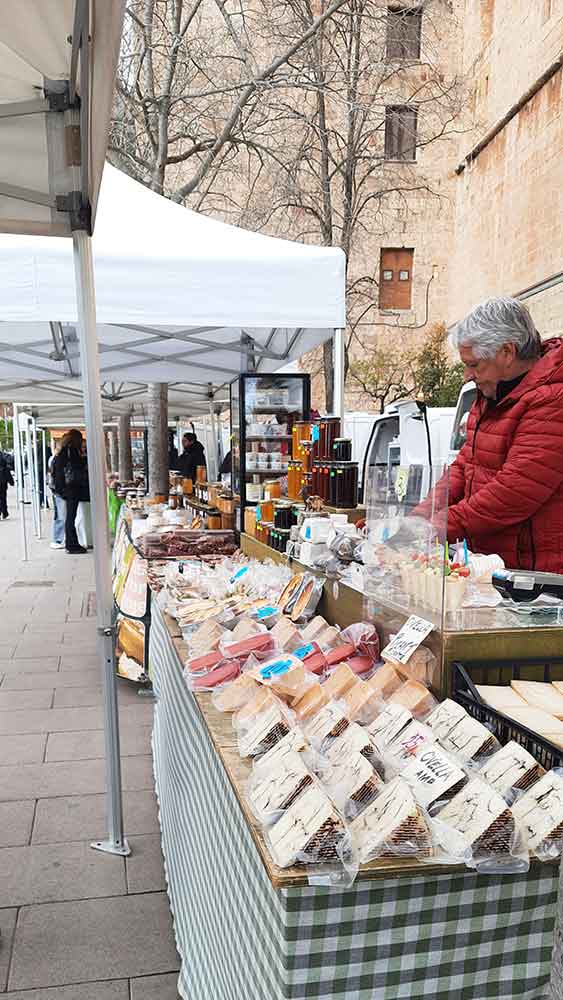 Best Montserrat Tour from Barcelona (With Tapas + Winery Visit) 14 A row of market stalls outside Montserrat selling a variety of local products. In the forground is a selection of cheeses and a man in a red jacket selling items. There are also jars of honey and meats.