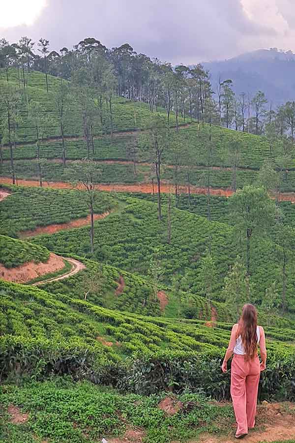 Me at the tea plantations wearing my pink linen trousers and white top.