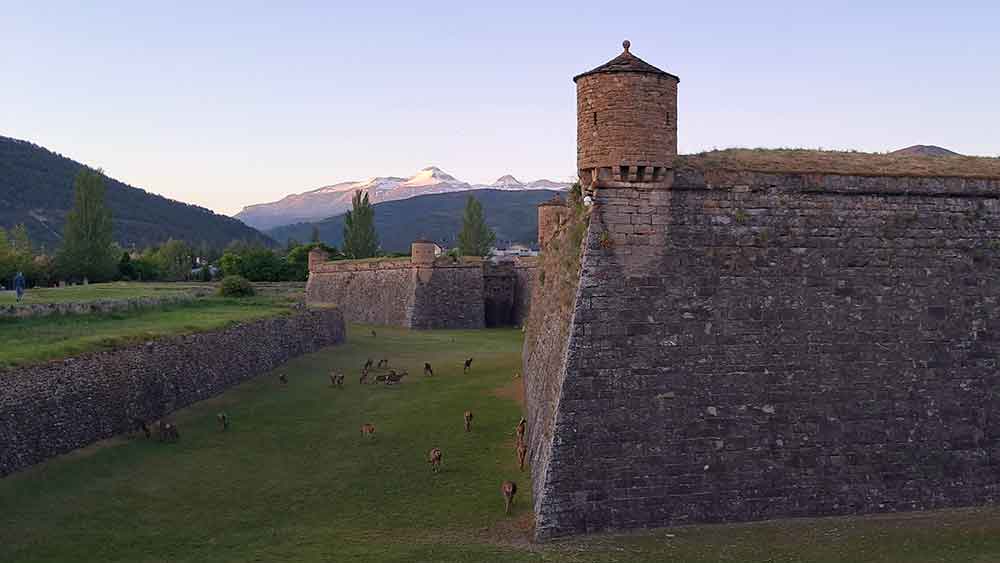 The fortress, Ciudadela de Jaca, at sunset with mountains in the background and colony of deer in the moat
