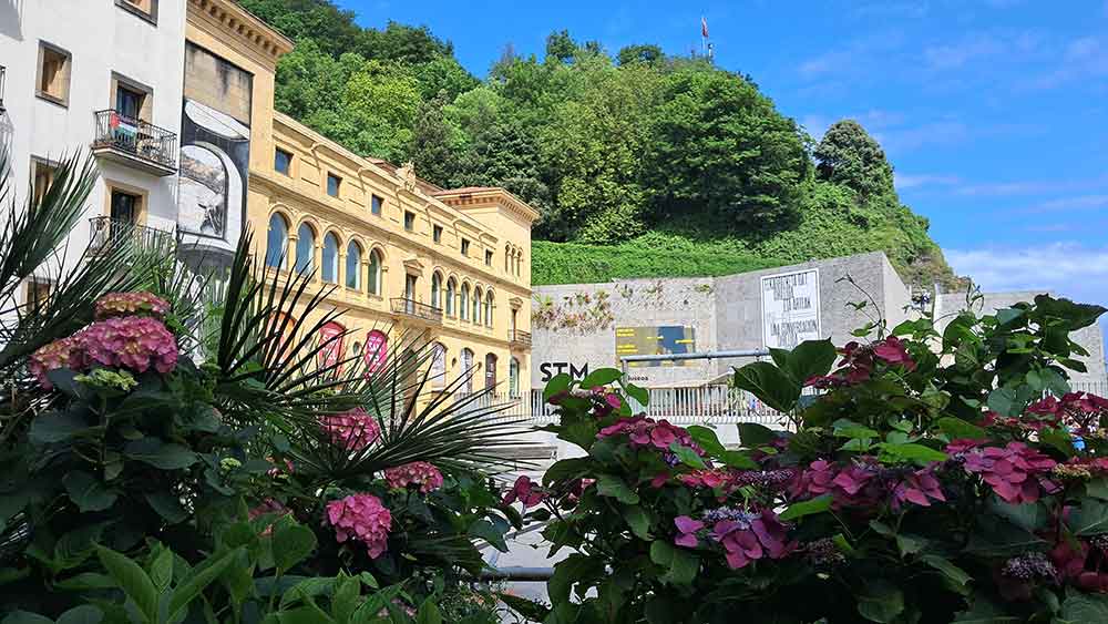 A view of the San Telmo Museum in San Sebastian framed by blooming hydrangeas and surrounded by historic architecture, reflecting the artistic and cultural depth that contributes to what San Sebastian is known for.