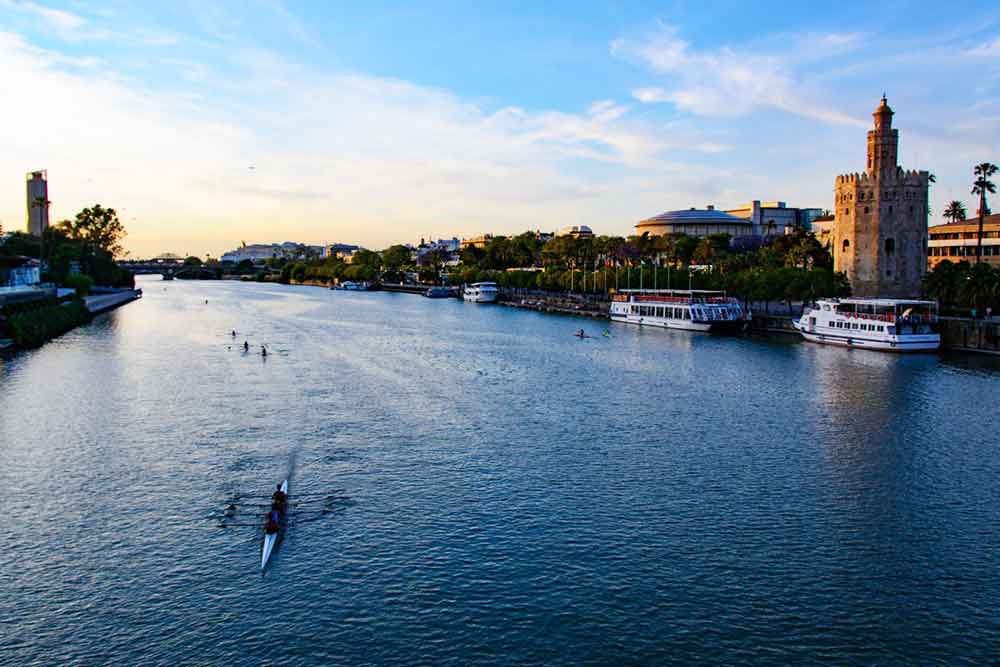 People rowing on the Guadalquivir River in Seville with the Torre de Oro to the right hand side.