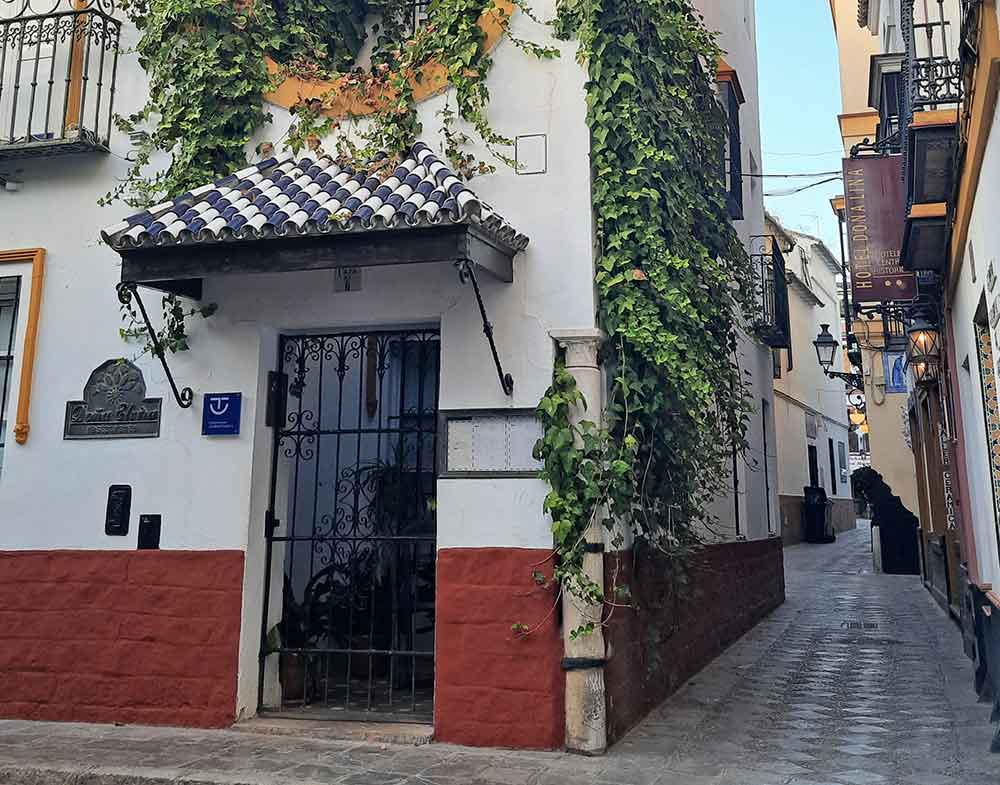 A cozy, ivy-covered corner in the heart of the Santa Cruz neighborhood, featuring a traditional wrought-iron gate and a blue-tiled awning. Wandering through these narrow, historic alleys is easily one of the most popular activities in Seville for travellers.