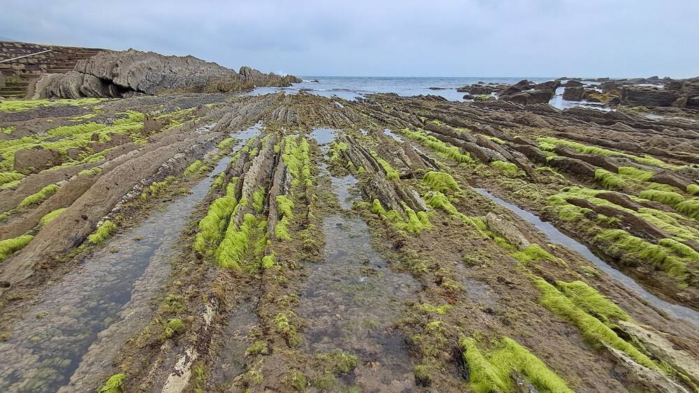 Eroded rock formations covered in green algae stretch into the sea along the Flysch Route, showcasing the dramatic Basque coastline that's often highlighted in discussions of what San Sebastian is best known for.