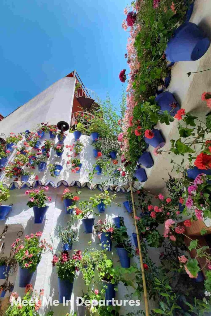 A sunlit courtyard in Córdoba bursting with colorful geraniums and greenery planted in vibrant blue pots, all mounted on bright white walls under a clear blue sky.