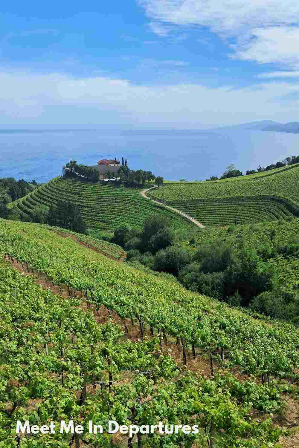 Rolling green vineyards on terraced hillsides overlooking a calm blue sea, with a red-roofed farmhouse surrounded by trees near the coastline.