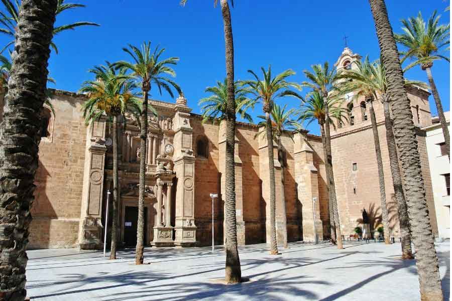 The light sanstone building of Almeria Cathedral with tall palm trees outside.