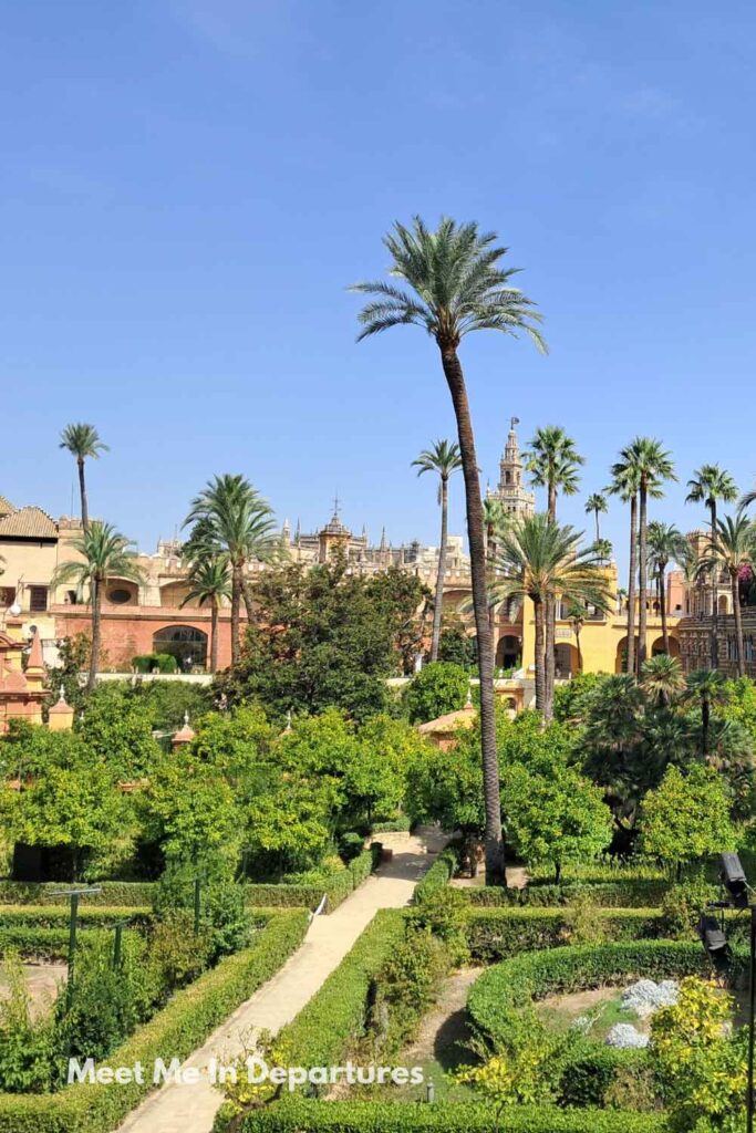 Panoramic view over the gardens of the Real Alcázar of Seville, with palm trees, manicured hedges, and the Giralda tower in the distance, photographed during early morning access before the palace opened to visitors.