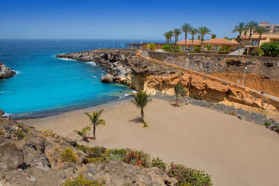 Beach Playa Paraiso Costa Adeje in Tenerife A small golden beach cove in Playa Paraíso, Costa Adeje, Tenerife, framed by rocky cliffs and turquoise water. Palm trees dot the sand, while low-rise villas and resorts overlook the bay—showcasing one of the most inviting spots for winter warmth in Europe.