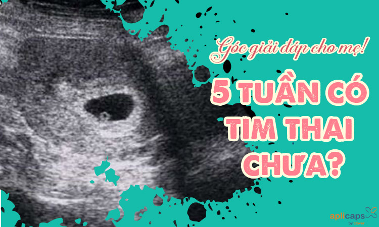 5-tuan-co-tim-thai-chua