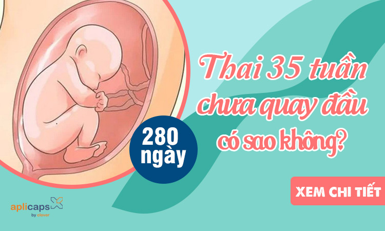 thai-35-tuan-chua-quay-dau