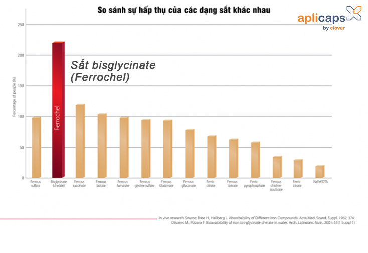 sắt amin sắt bisglycinate