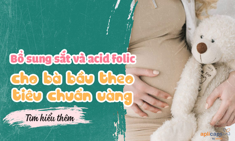 Cách bổ sung sắt và acid folic cho bà bầu