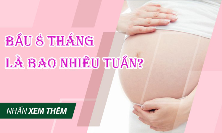 8-thang-la-bao-nhieu-tuan