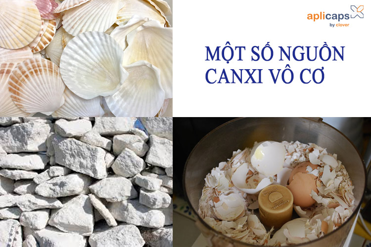 Nguồn canxi vô cơ trong tự nhiên  