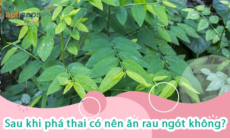 sau-khi-pha-thai-co-nen-an-rau-ngot