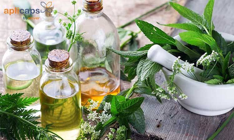 Mỹ phẩm có nguồn gốc tự nhiên thích hợp cho mẹ bầu