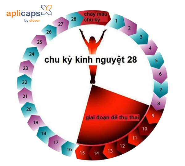 Ngày dễ thụ thai nhất