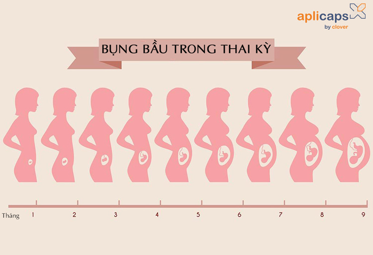 hình ảnh bụng bầu qua từng tháng 2