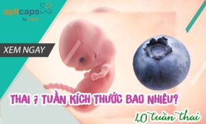 thai 7 tuần kích thước bao nhiêu