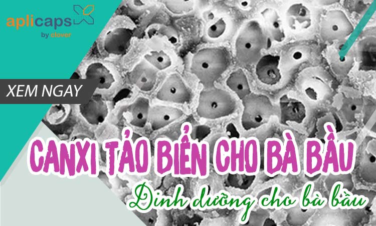 canxi tảo biển cho bà bầu