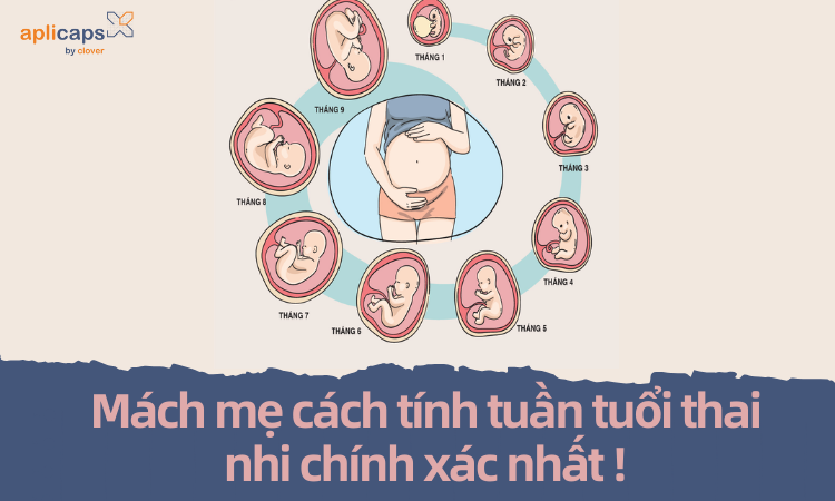 Mách mẹ cách tính tuần tuổi thai nhi chính xác nhất