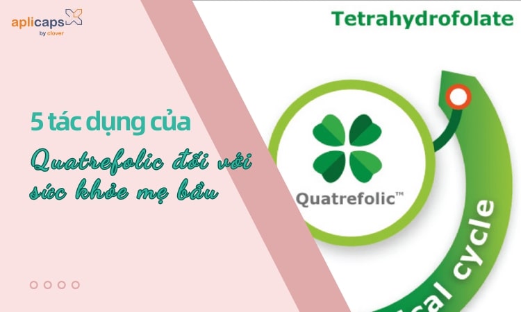 5 tác dụng của quatrefolic đối với sức khỏe mẹ bầu