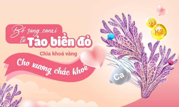 báo sức khoẻ đời sống - canxi tảo biển đỏ