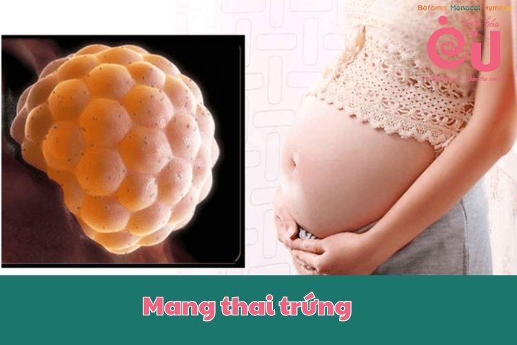 Mang thai trứng khiến cho phụ nữ khó mang thai hơn