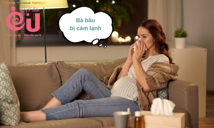 Bà bầu bị sốt nóng lạnh do cảm lạnh.