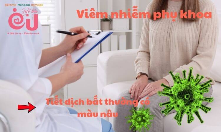 Viêm nhiễm phụ khoa - Nguyên nhân gây ra máu nâu
