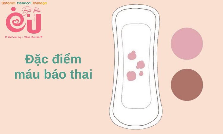 Máu báo thai thường không đi kèm máu cục