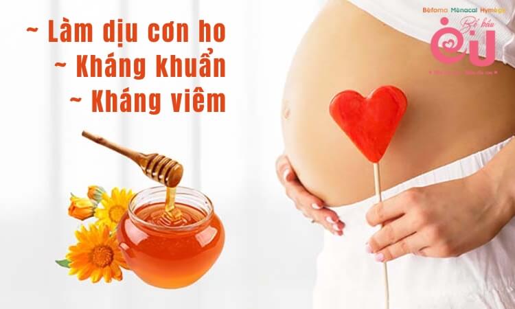Mật ong có tác dụng trị ho hiệu quả