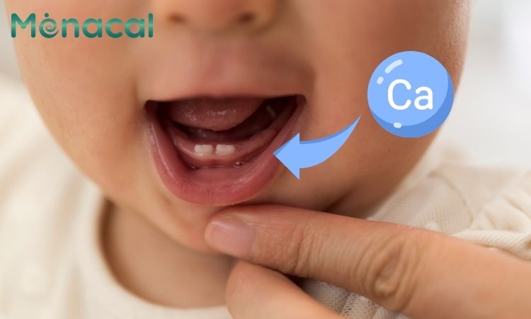 Canxi là hoạt chất quan trọng giúp trẻ mọc răng đúng thời điểm.